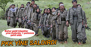 PKK SALDIRDI, 1 POLİSİMİZ ŞEHİT OLDU