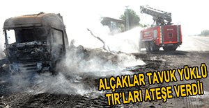 PKK'LILAR BEYPİLİÇ'İN TIR'LARINI YAKTI!