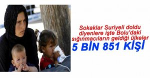 RESMİ RAKAMLARLA BOLU'DAKİ SIĞINMACI SAYISI...