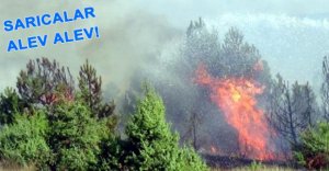 SARICALAR'DA KORKUTAN YANGIN!