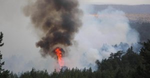 SEBEN'DE 10 HEKTARLIK ALAN YANDI