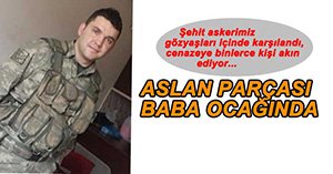 ŞEHİDİMİZ BABA OCAĞINA GETİRİLDİ
