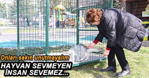 SOKAK HAYVANLARI PROJESİ BÜYÜYOR