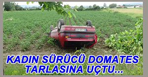 TAKLA ATAN OTOMOBİL DOMATES TARLASINA UÇTU