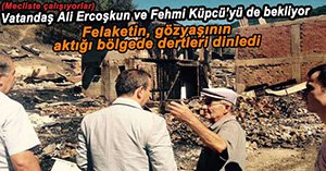 TANJU ÖZCAN YANGIN BÖLGESİNE GİTTİ