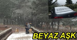 ABANT BEYAZ GELİNLİĞİNİ GİYDİ