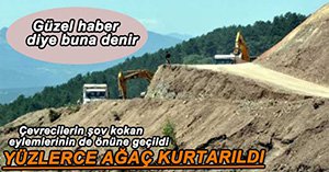 YÜZLERCE AĞAÇ KURTARILDI