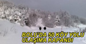 50 KÖY YOLU ULAŞIMA KAPANDI!