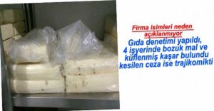 62 İŞYERİNE GIDA BASKINI