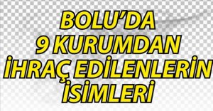 9 KURUMDAN 41 KİŞİ MESLEKTEN İHRAÇ EDİLDİ