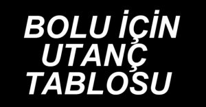 ACI VERİCİ TABLO...