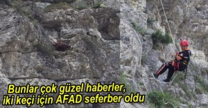 AFAD KEÇİLER İÇİN SEFERBER OLDU