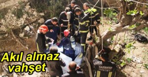 AKIL ALMAZ VAHŞET....