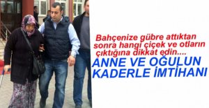 ANNE VE OĞLUNUN BAŞINA GELENLER...