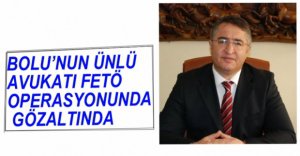 AVUKAT GÖZALTINA ALINDI