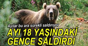 AYI 18 YAŞINDAKİ GENCE SALDIRARAK YARALADI
