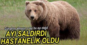 AYININ SALDIRISINA UĞRADI