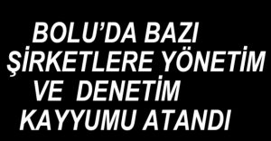 BAZI ŞİRKETLERE YÖNETİM VE DENETİM KAYYUMU ATADI