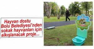 BOLU BELEDİYESİ'NDEN ÖRNEK PROJE...