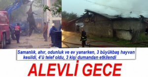 BÜTÜN EMEKLERİ YANIP KÜL OLDU