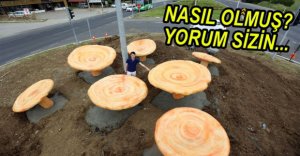 BOLU'NUN GİRİŞİNE KANLICA MANTARI...