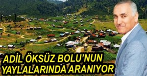 BOLU'NUN YAYLALARINDA ARAMA YAPILIYOR