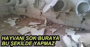 BUNLARA NE GEREK VAR!