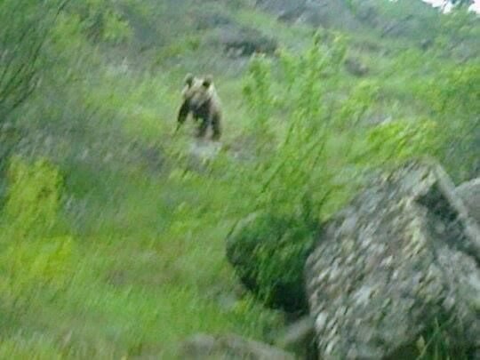 AYIYLA KARŞI KARŞIYA GELDİ