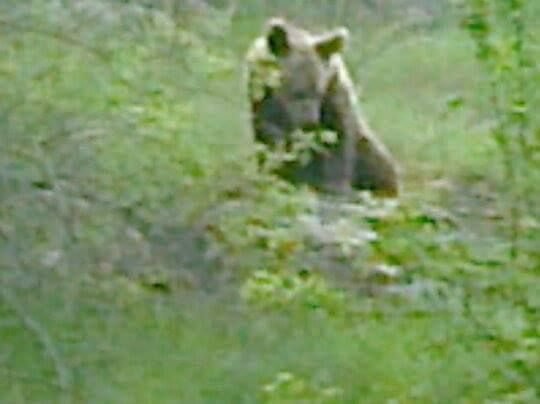 AYIYLA KARŞI KARŞIYA GELDİ