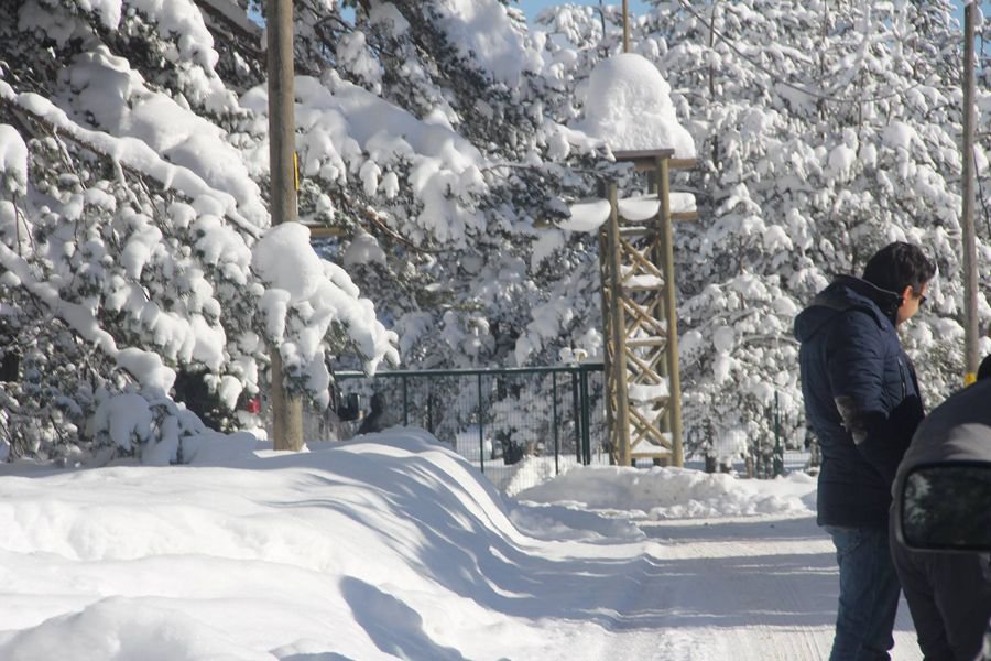 BAŞBAKAN YUVADA DİNLENİYOR!