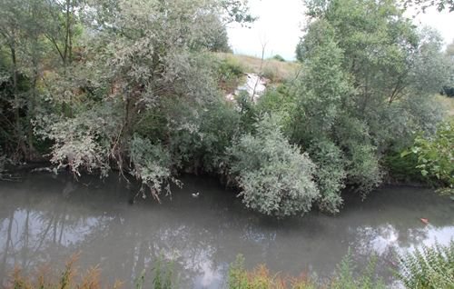 BAŞKANI ÇILGINA ÇEVİREN GÖRÜNTÜLER
