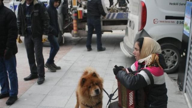 BIRAKIN EKMEĞİNİ KAZANSIN