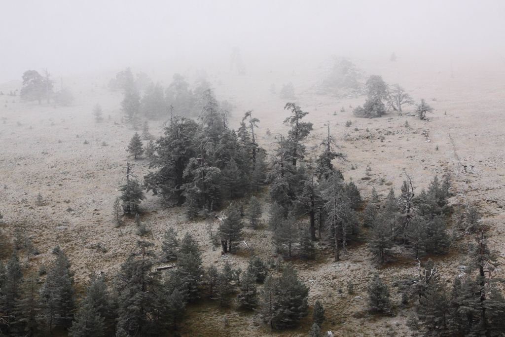 BOLU'YA KAR ERKEN GELDİ