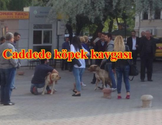 CADDEDE BİR GARİP KAVGA...