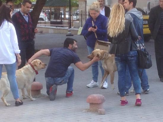 CADDEDE BİR GARİP KAVGA...