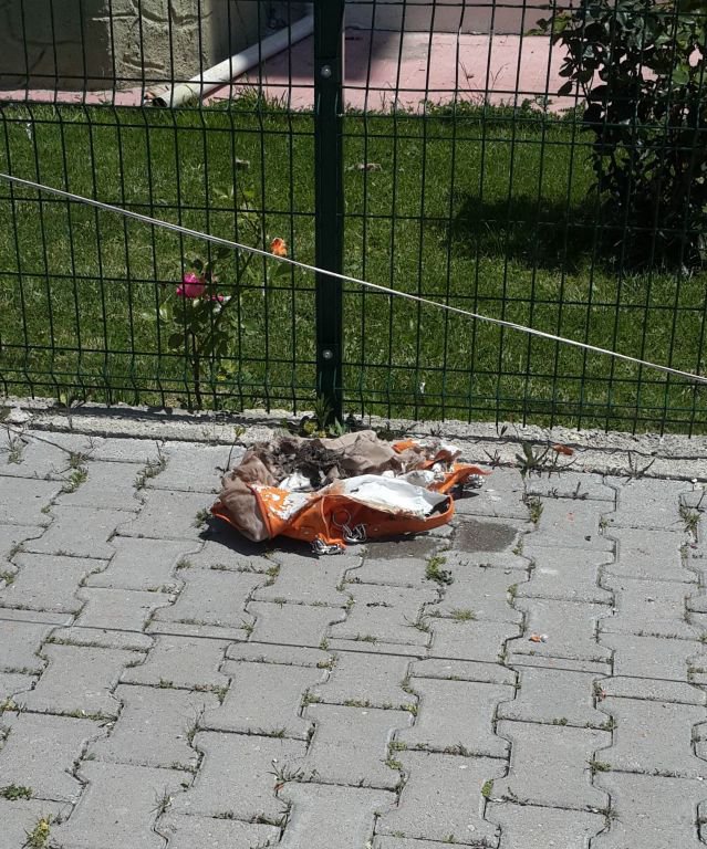 GÜVENLİK GEREKÇESİYLE OKUL BOŞALTILDI