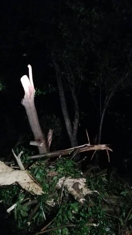 HORTUM KÖYÜ HARABEYE ÇEVİRDİ