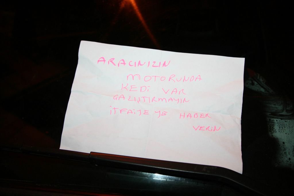 İTFAİYECİLERİ CANINDAN BEZDİRDİ