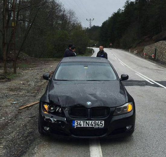 OTOMOBİLİN ÇARPTIĞI GEYİK TELEF OLDU