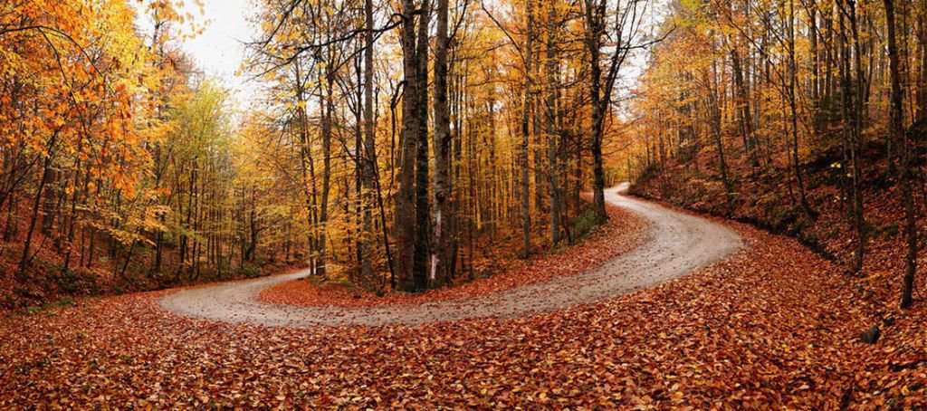 YEDİGÖLLER'E TAM PUAN....