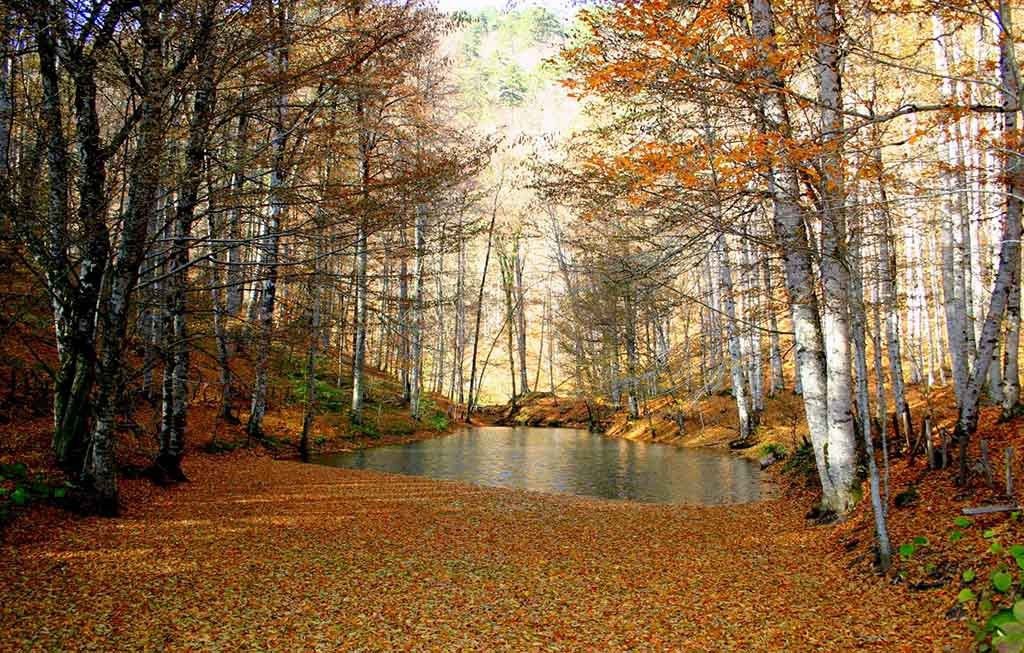 YEDİGÖLLER'E TAM PUAN....