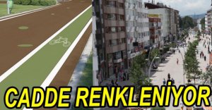 CADDE RENGARENK OLUYOR....