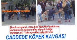 CADDEDE BİR GARİP KAVGA...