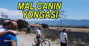 ÇARESİZ GÖZLERLE İZLEDİ