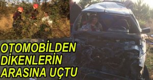 DİKENLERİN ARASINDAN KURTARILDI