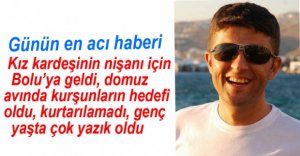 DOMUZ AVINDA HAYATINI KAYBETTİ