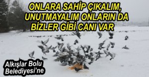 EN ÇOK ONLARIN YARDIMA İHTİYACI VAR