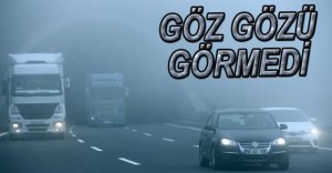 BOLU DAĞI'NDA SİS MESAİSİ BAŞLADI