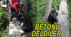 HER YARDIMIMIZA ONLAR KOŞUYOR