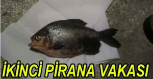 İKİNCİ PİRANA VAKASI...